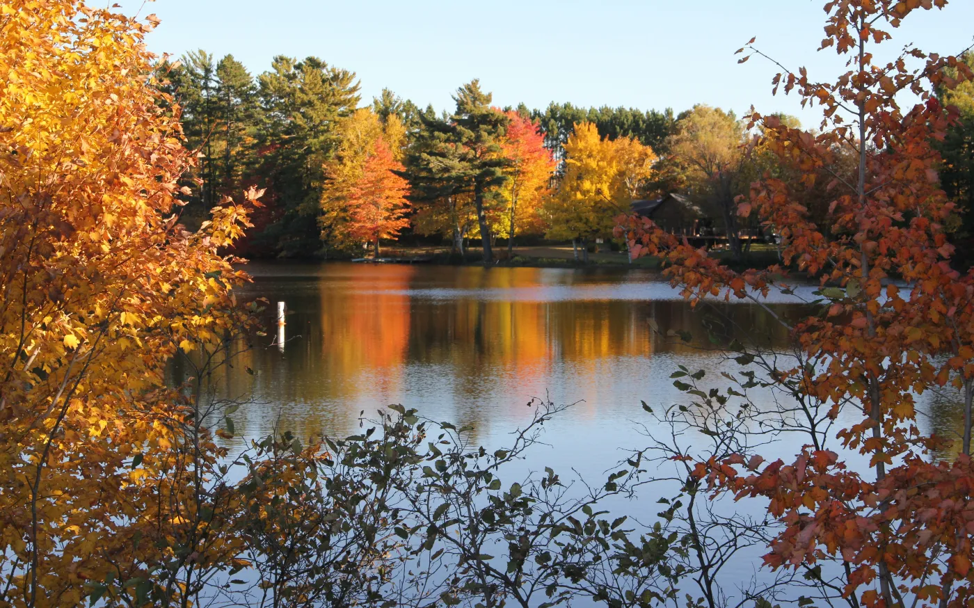 brown and green trees beside river during daytime by Tess Imobersteg courtesy of Unsplash.