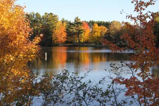brown and green trees beside river during daytime by Tess Imobersteg courtesy of Unsplash.