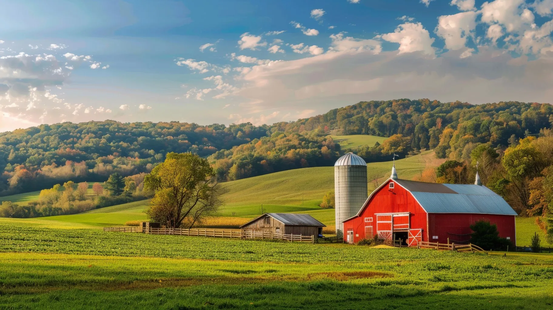 farm view